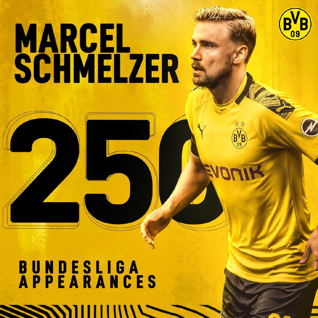 小规模的茶籽油生产线